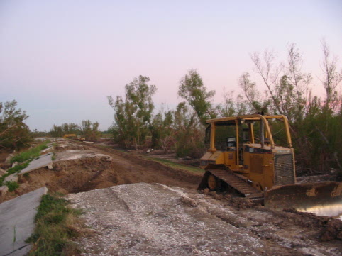 TFG Woodland scour holes.jpg